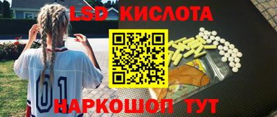 крисы Будённовск