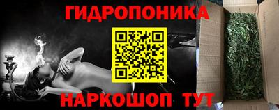 крисы Будённовск