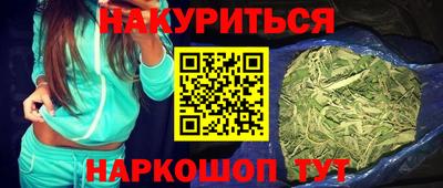 крисы Будённовск