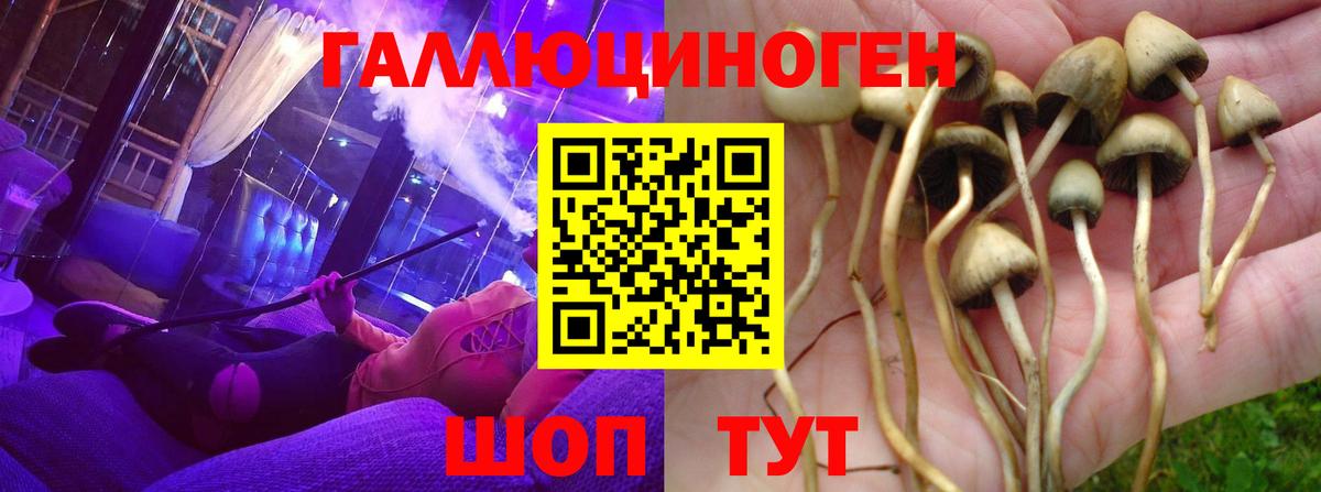 Галлюциногенные грибы MAGIC MUSHROOMS  Псилоцибиновые грибы мухоморы  купить закладку  Вход с VPN  Спасск-Дальний 